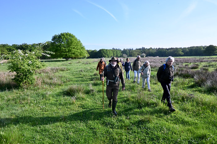 de groep in het veld