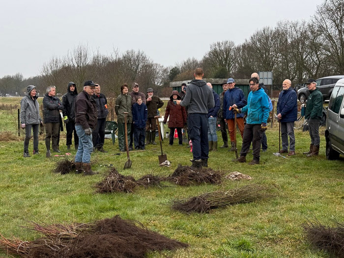 plantactie Ommermars 22 februari 2025