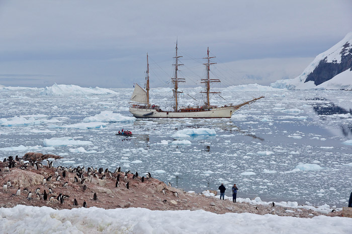 Antarcticalezing 2021 boot