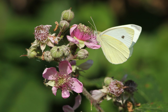 bij excursie 18 april 2026 03